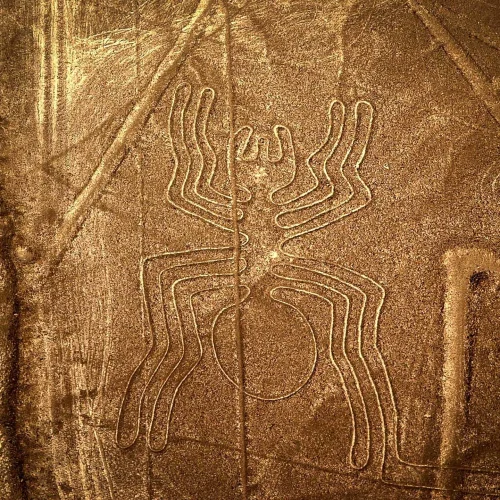 Maramego Nasca 2